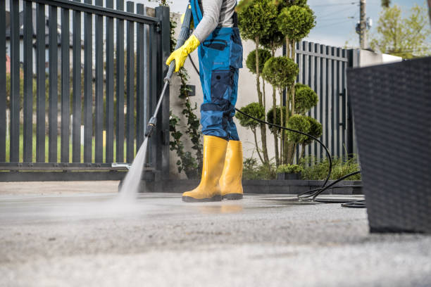 Best Roof Power Washing Services  in Bay Point, CA